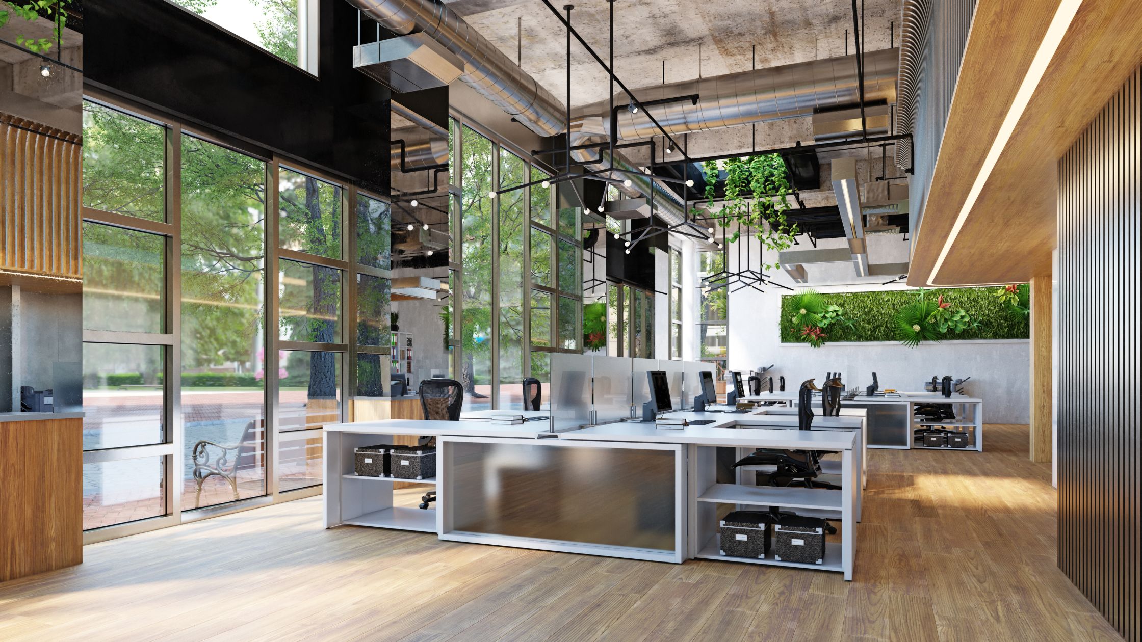 Modern open office with greenery and natural light.