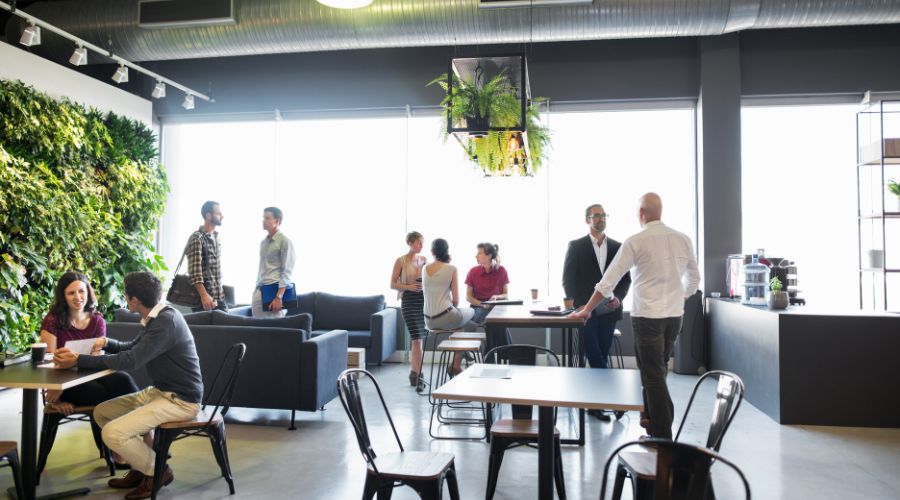 People socializing in modern office lounge with plants.