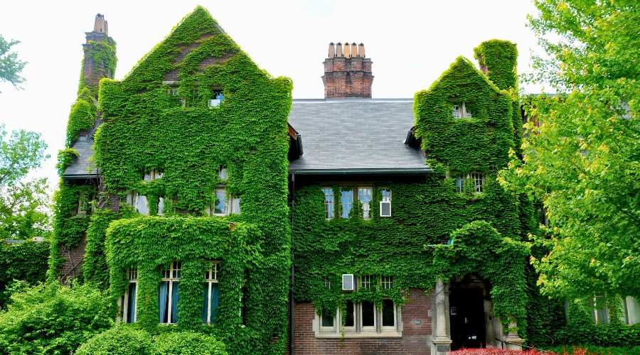 Green Facade and Exterior Renovation